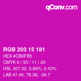 Color code: RGB 203 15 181 | qconv.com