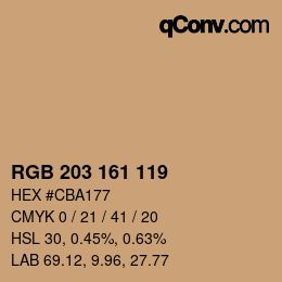 Farbcode: RGB 203 161 119 | qconv.com