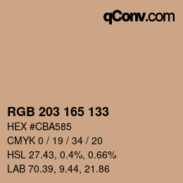 Color code: RGB 203 165 133 | qconv.com