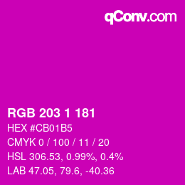 Color code: RGB 203 1 181 | qconv.com