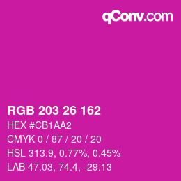 Color code: RGB 203 26 162 | qconv.com