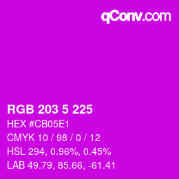Color code: RGB 203 5 225 | qconv.com