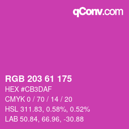 Color code: RGB 203 61 175 | qconv.com