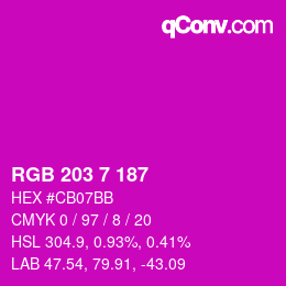 Color code: RGB 203 7 187 | qconv.com