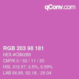 Código de color: RGB 203 98 181 | qconv.com