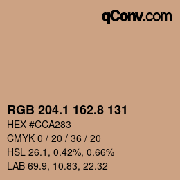Color code: RGB 204.1 162.8 131 | qconv.com