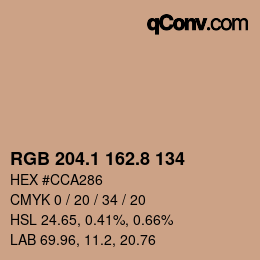 Color code: RGB 204.1 162.8 134 | qconv.com