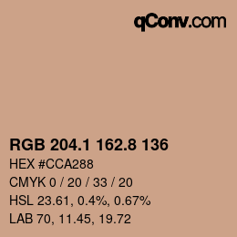 Color code: RGB 204.1 162.8 136 | qconv.com