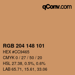 Color code: RGB 204 148 101 | qconv.com