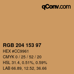 Color code: RGB 204 153 97 | qconv.com
