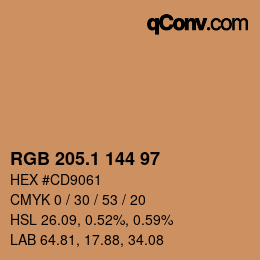 Color code: RGB 205.1 144 97 | qconv.com
