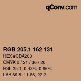 Color code: RGB 205.1 162 131 | qconv.com