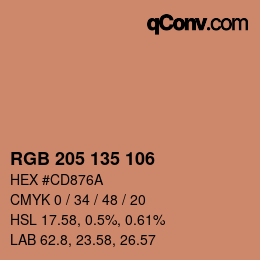 Color code: RGB 205 135 106 | qconv.com