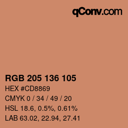 Color code: RGB 205 136 105 | qconv.com