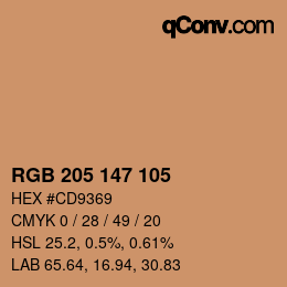 Color code: RGB 205 147 105 | qconv.com