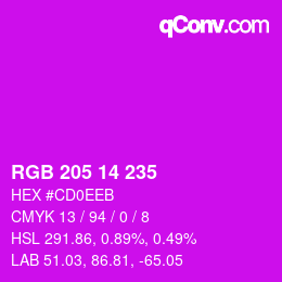 Color code: RGB 205 14 235 | qconv.com