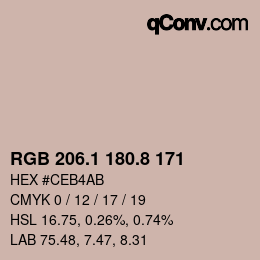Color code: RGB 206.1 180.8 171 | qconv.com