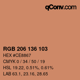 Color code: RGB 206 136 103 | qconv.com
