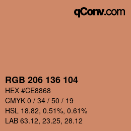 Color code: RGB 206 136 104 | qconv.com
