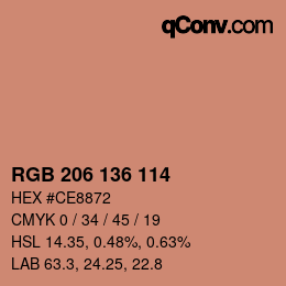 Color code: RGB 206 136 114 | qconv.com