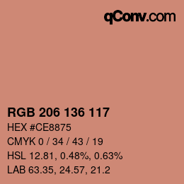 Color code: RGB 206 136 117 | qconv.com