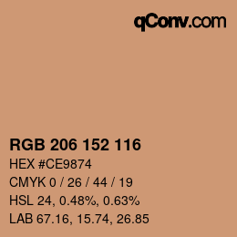 颜色代码: RGB 206 152 116 | qconv.com