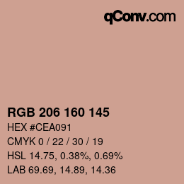 Color code: RGB 206 160 145 | qconv.com