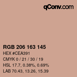 Color code: RGB 206 163 145 | qconv.com