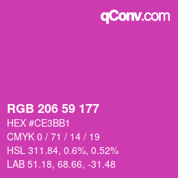 Color code: RGB 206 59 177 | qconv.com