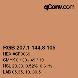 Color code: RGB 207.1 144.8 105 | qconv.com