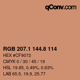 Farbcode: RGB 207.1 144.8 114 | qconv.com