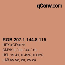 Color code: RGB 207.1 144.8 115 | qconv.com