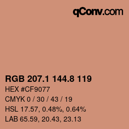 Color code: RGB 207.1 144.8 119 | qconv.com