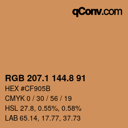 Color code: RGB 207.1 144.8 91 | qconv.com