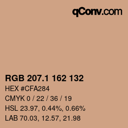 Color code: RGB 207.1 162 132 | qconv.com
