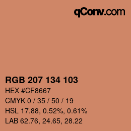 Color code: RGB 207 134 103 | qconv.com