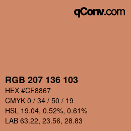 Farbcode: RGB 207 136 103 | qconv.com