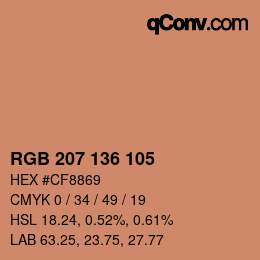 颜色代码: RGB 207 136 105 | qconv.com
