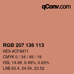 Color code: RGB 207 136 113 | qconv.com