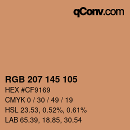 Color code: RGB 207 145 105 | qconv.com