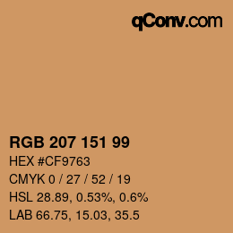 Color code: RGB 207 151 99 | qconv.com