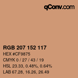 Color code: RGB 207 152 117 | qconv.com
