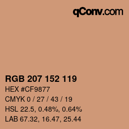 颜色代码: RGB 207 152 119 | qconv.com