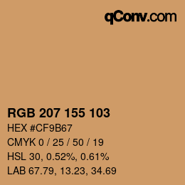 Color code: RGB 207 155 103 | qconv.com