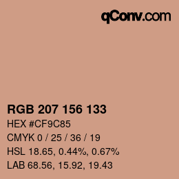 Color code: RGB 207 156 133 | qconv.com