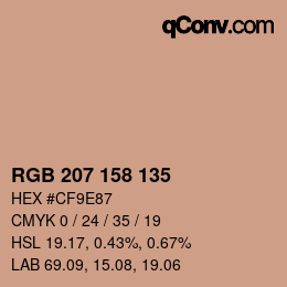 Color code: RGB 207 158 135 | qconv.com