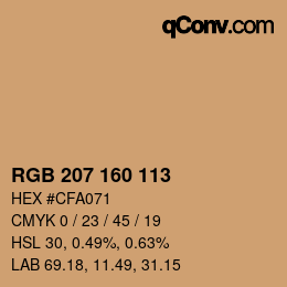 Color code: RGB 207 160 113 | qconv.com