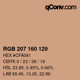 Color code: RGB 207 160 129 | qconv.com