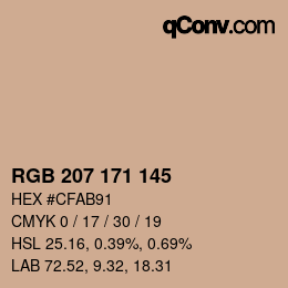 Color code: RGB 207 171 145 | qconv.com