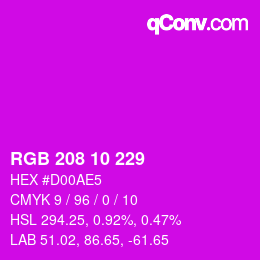 カラーコード: RGB 208 10 229 | qconv.com
